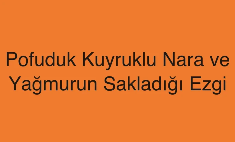 Pofuduk Kuyruklu Nara ve Yağmurun Sakladığı Ezgi