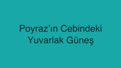 Poyraz’ın Cebindeki Yuvarlak Güneş