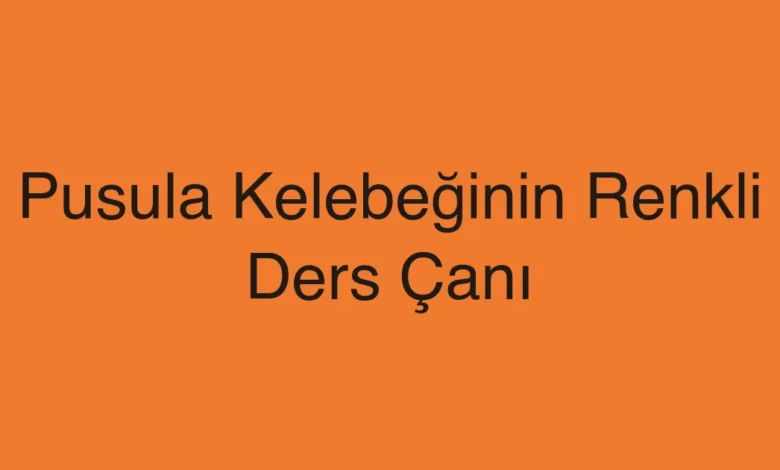 Pusula Kelebeğinin Renkli Ders Çanı
