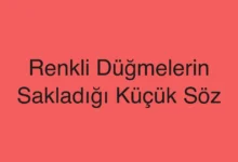 Renkli Düğmelerin Sakladığı Küçük Söz