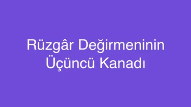 Rüzgâr Değirmeninin Üçüncü Kanadı