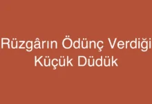 Rüzgârın Ödünç Verdiği Küçük Düdük