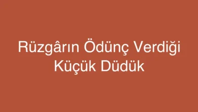 Rüzgârın Ödünç Verdiği Küçük Düdük