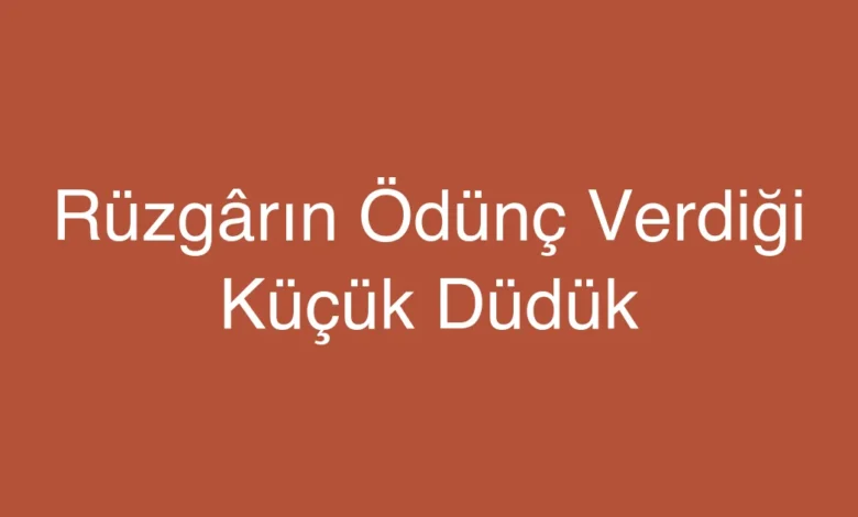 Rüzgârın Ödünç Verdiği Küçük Düdük