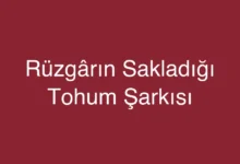 Rüzgârın Sakladığı Tohum Şarkısı