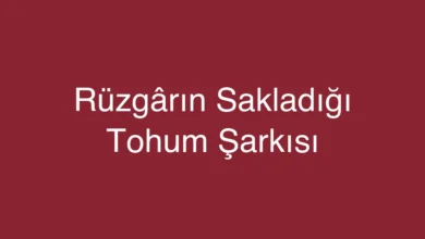 Rüzgârın Sakladığı Tohum Şarkısı