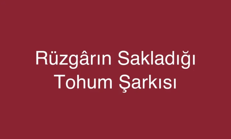 Rüzgârın Sakladığı Tohum Şarkısı