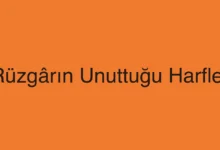 Rüzgârın Unuttuğu Harfler