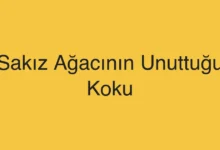 Sakız Ağacının Unuttuğu Koku