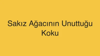 Sakız Ağacının Unuttuğu Koku