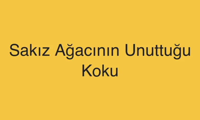 Sakız Ağacının Unuttuğu Koku