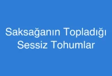 Saksağanın Topladığı Sessiz Tohumlar