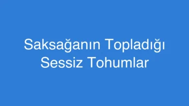 Saksağanın Topladığı Sessiz Tohumlar