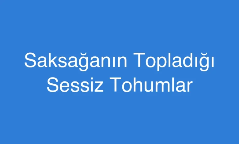 Saksağanın Topladığı Sessiz Tohumlar