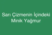 Sarı Çizmenin İçindeki Minik Yağmur