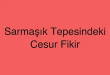 Sarmaşık Tepesindeki Cesur Fikir
