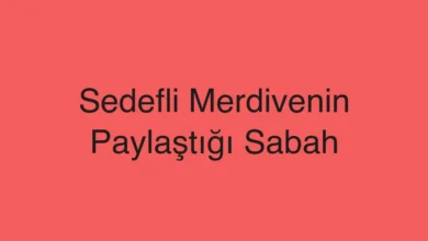 Sedefli Merdivenin Paylaştığı Sabah