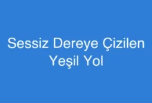 Sessiz Dereye Çizilen Yeşil Yol