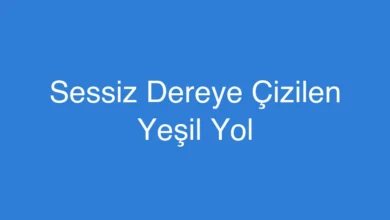 Sessiz Dereye Çizilen Yeşil Yol