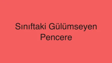 Sınıftaki Gülümseyen Pencere
