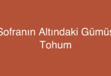 Sofranın Altındaki Gümüş Tohum