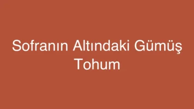 Sofranın Altındaki Gümüş Tohum