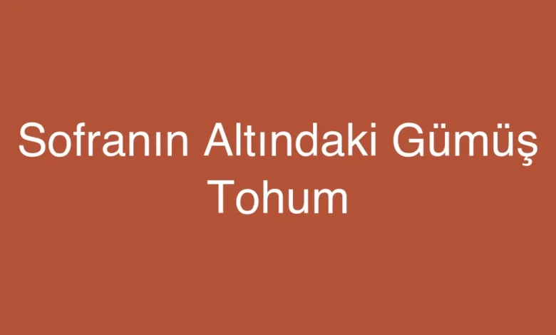 Sofranın Altındaki Gümüş Tohum