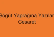 Söğüt Yaprağına Yazılan Cesaret