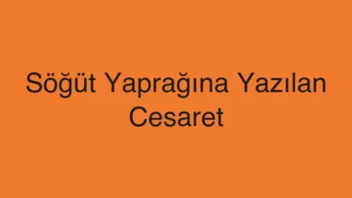 Söğüt Yaprağına Yazılan Cesaret