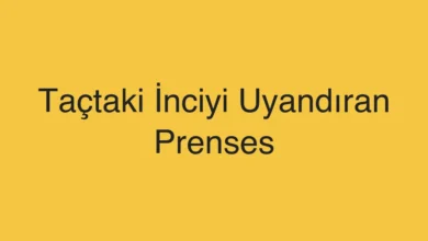 Taçtaki İnciyi Uyandıran Prenses