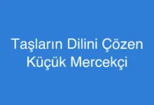 Taşların Dilini Çözen Küçük Mercekçi