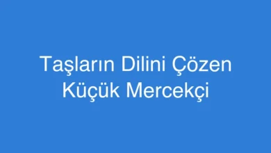 Taşların Dilini Çözen Küçük Mercekçi