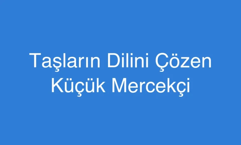 Taşların Dilini Çözen Küçük Mercekçi