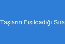 Taşların Fısıldadığı Sıra