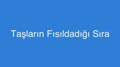 Taşların Fısıldadığı Sıra