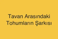 Tavan Arasındaki Tohumların Şarkısı