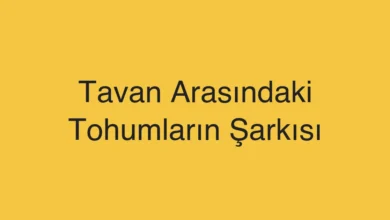 Tavan Arasındaki Tohumların Şarkısı