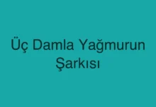 Üç Damla Yağmurun Şarkısı