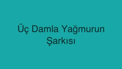 Üç Damla Yağmurun Şarkısı