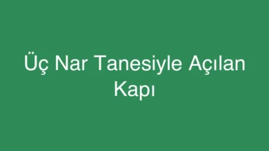Üç Nar Tanesiyle Açılan Kapı