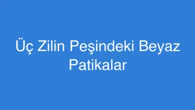 Üç Zilin Peşindeki Beyaz Patikalar