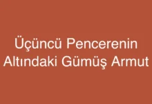 Üçüncü Pencerenin Altındaki Gümüş Armut