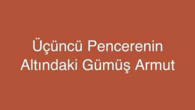 Üçüncü Pencerenin Altındaki Gümüş Armut