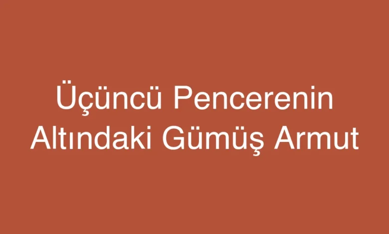 Üçüncü Pencerenin Altındaki Gümüş Armut