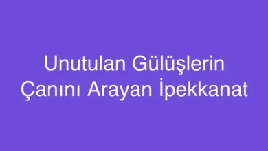 Unutulan Gülüşlerin Çanını Arayan İpekkanat
