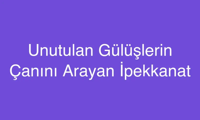 Unutulan Gülüşlerin Çanını Arayan İpekkanat