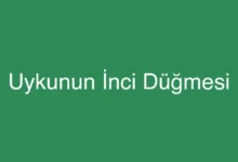 Uykunun İnci Düğmesi