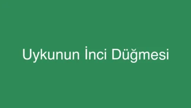 Uykunun İnci Düğmesi