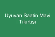 Uyuyan Saatin Mavi Tıkırtısı