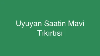 Uyuyan Saatin Mavi Tıkırtısı